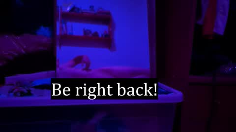 Snapshot of edwarh_01 chatting on 7, 2, 2026 Alex online show from 7, 2, 2026