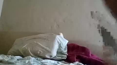 Snapshot of el131140 chatting on 8, 2, 2025 Sebastin online show from 8, 2, 2025