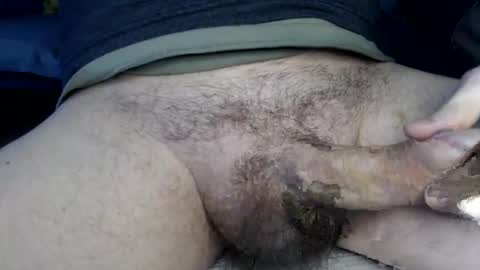 el gato lusty online show from 17, 1, 2025