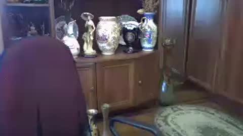 Snapshot of elenazed chatting on 3, 7, 2026 ElenaZed online show from 3, 7, 2026