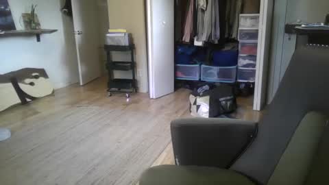 fox online show from 26, 12, 2024