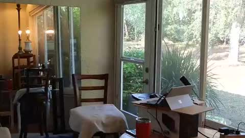 Snapshot of eliberator chatting on 21, 12, 2025 eliberator online show from 21, 12, 2025