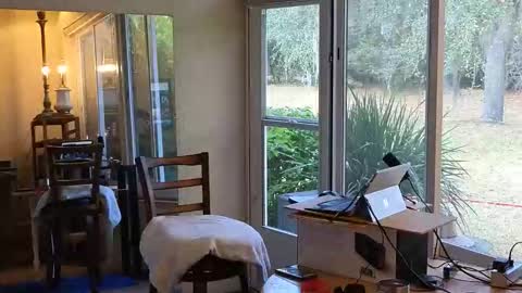 Snapshot of eliberator chatting on 7, 1, 2026 eliberator online show from 7, 1, 2026