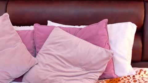 Ella Sanders online show from 27, 3, 2026