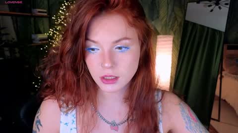 Snapshot of elsie_ginger chatting on 27, 1, 2025 Elsie online show from 27, 1, 2025