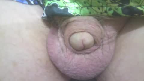 Snapshot of elvisandme chatting on 12, 3, 2025 elvisandme online show from 12, 3, 2025