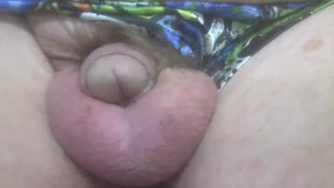 Snapshot of elvisandme chatting on 20, 10, 2025 elvisandme online show from 20, 10, 2025