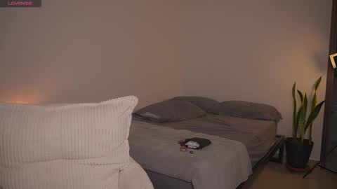 ana online show from 24, 11, 2025