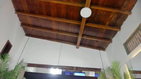 Emily  online show from 26, 2, 2026