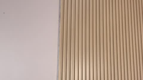 Emily online show from 3, 4, 2026