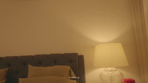 Snapshot of emma_lu1 chatting on 31, 1, 2026 emma_lu1 online show from 31, 1, 2026