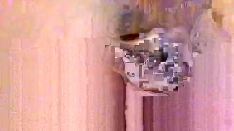 take it easy online show from 13, 1, 2026