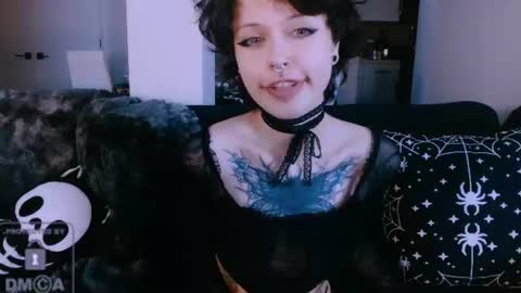Rainbow on your spoon online show from 26, 7, 2026