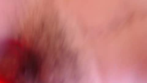 Snapshot of estelamaris1 chatting on 19, 1, 2025 estelamaris online show from 19, 1, 2025