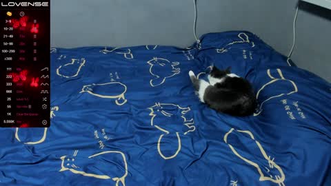 Eva online show from 12, 1, 2025