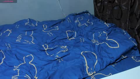 Eva online show from 28, 1, 2025