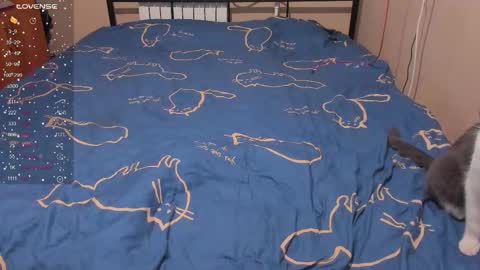 Eva online show from 13, 1, 2026