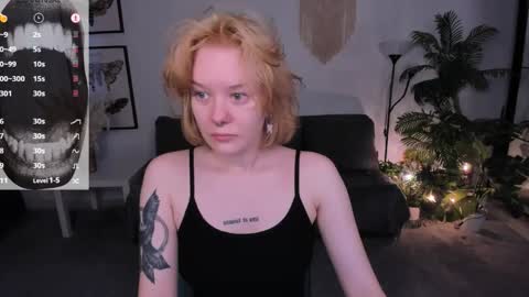      online show from 19, 4, 2026