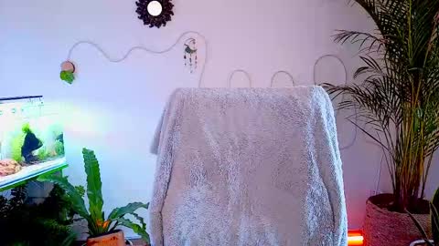 Snapshot of evelyn_chelle chatting on 2, 5, 2026 Im Eve or Chelle Next Stream 191224 online show from 2, 5, 2026