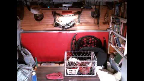 EvPierce online show from 30, 3, 2026