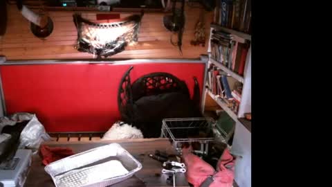 EvPierce online show from 11, 4, 2026