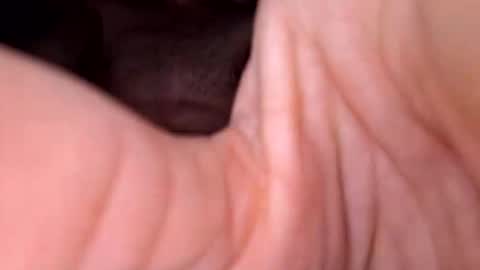 Exhibboytoy3 online show from 24, 3, 2026