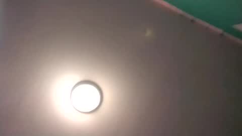 experttreecompany online show from 17, 2, 2026