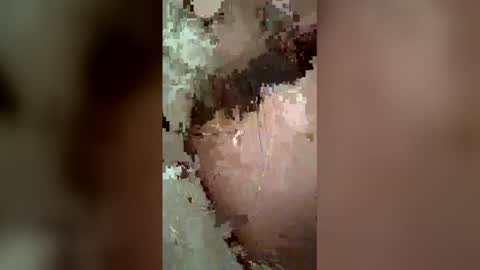 fairdog123 online show from 21, 4, 2026