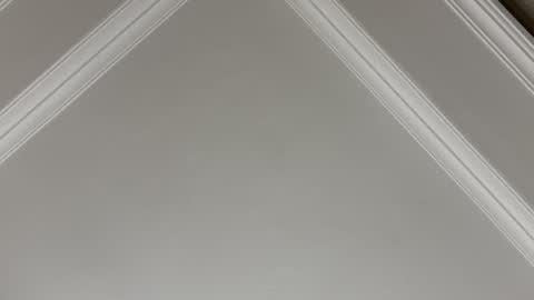 famsea online show from 10, 11, 2025