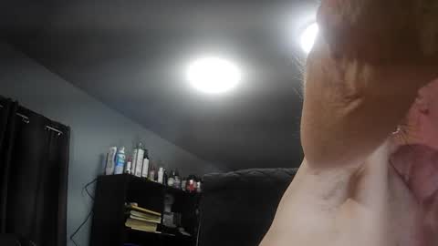 fantasyresort online show from 9, 11, 2025