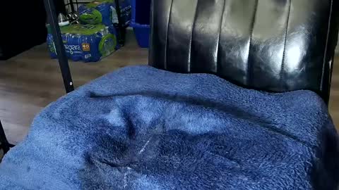 Snapshot of fat_fabulous1981 chatting on 1, 2, 2025 Sarah online show from 1, 2, 2025