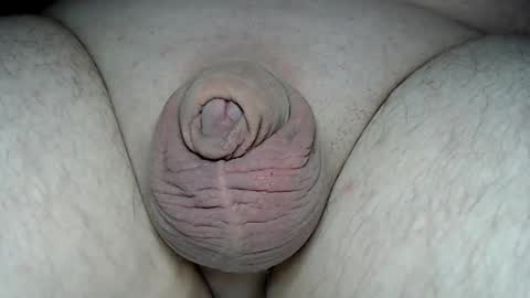 Fatmanscock online show from 2, 3, 2026