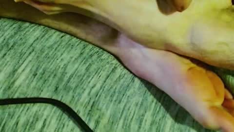 Snapshot of feelingverynaughty chatting on 30, 1, 2025 ask me online show from 30, 1, 2025