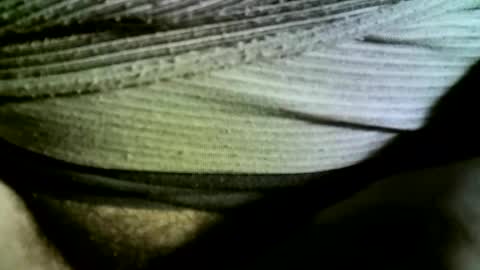 felicaste online show from 14, 2, 2025