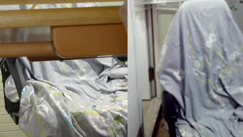 Snapshot of felixlau chatting on 12, 12, 2024 felixlau online show from 12, 12, 2024