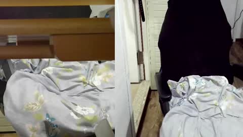 Snapshot of felixlau chatting on 17, 2, 2025 felixlau online show from 17, 2, 2025