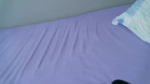 Navil online show from 28, 2, 2026