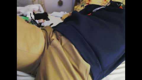 ferra_testarossa online show from 20, 4, 2026