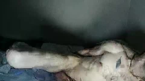 Snapshot of fetishsearch1abdl chatting on 27, 2, 2025 fetishsearch1abdl online show from 27, 2, 2025