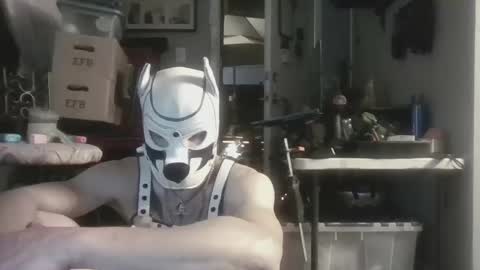 Snapshot of fetishsearch1abdl chatting on 28, 9, 2025 fetishsearch1abdl online show from 28, 9, 2025