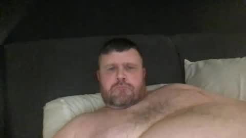 fin bear dom online show from 13, 1, 2025