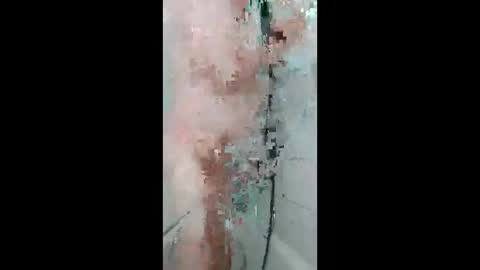 fips1981 online show from 18, 4, 2026