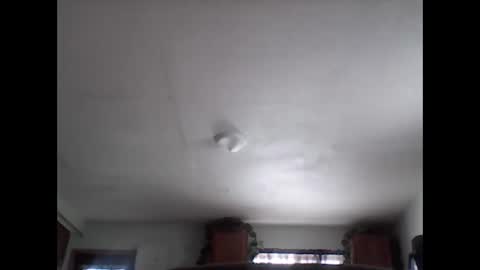 Brad online show from 29, 11, 2025