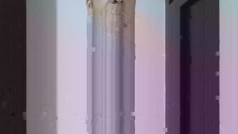 fitchestabs_69 online show from 14, 4, 2026