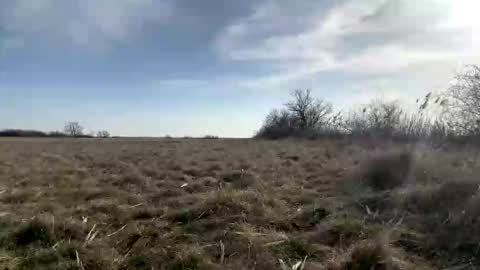 fitgentleman999 online show from 8, 3, 2026