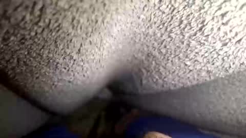 Snapshot of flaash_99 chatting on 2, 3, 2026 flaash_99 online show from 2, 3, 2026