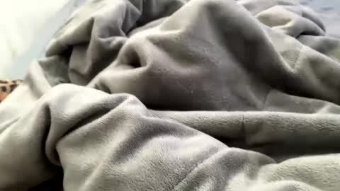 Snapshot of flaquitico chatting on 21, 12, 2024 Jat online show from 21, 12, 2024