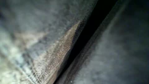 flash online show from 28, 2, 2026