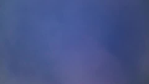 flavioandretti online show from 31, 3, 2026