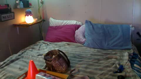 Eisha online show from 22, 12, 2024